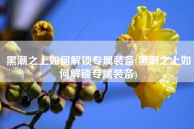 黑潮之上如何解锁专属装备(黑潮之上如何解锁专属装备)