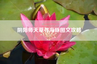 阴阳师天草寻海豚图文攻略