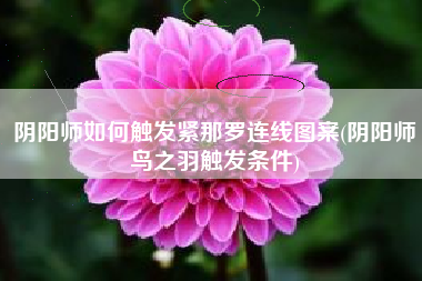 阴阳师如何触发紧那罗连线图案(阴阳师鸟之羽触发条件)