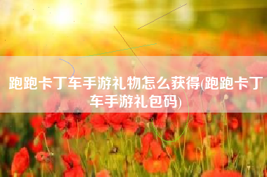 跑跑卡丁车手游礼物怎么获得(跑跑卡丁车手游礼包码)