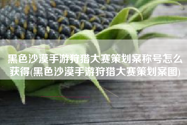 黑色沙漠手游狩猎大赛策划案称号怎么获得(黑色沙漠手游狩猎大赛策划案图)