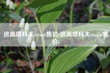 逃离塔科夫steam售价(逃离塔科夫steam售价)