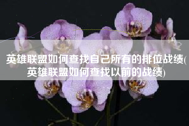 英雄联盟如何查找自己所有的排位战绩(英雄联盟如何查找以前的战绩)