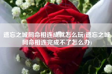 遗忘之城同命相连成就怎么玩(遗忘之城同命相连完成不了怎么办)