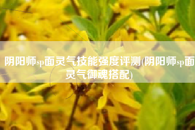 阴阳师sp面灵气技能强度评测(阴阳师sp面灵气御魂搭配)