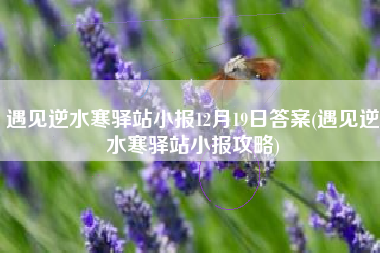 遇见逆水寒驿站小报12月19日答案(遇见逆水寒驿站小报攻略)