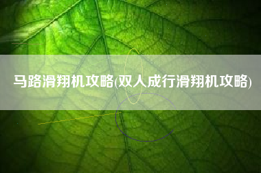 马路滑翔机攻略(双人成行滑翔机攻略)