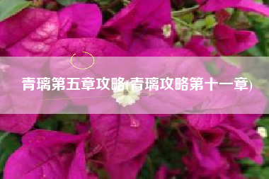 青璃第五章攻略(青璃攻略第十一章)
