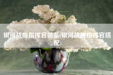 银河战舰指挥官装备(银河战舰指挥官搭配)