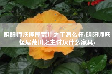 阴阳师妖怪屋荒川之主怎么样(阴阳师妖怪屋荒川之主讨厌什么家具)