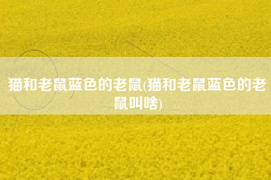 猫和老鼠蓝色的老鼠(猫和老鼠蓝色的老鼠叫啥)