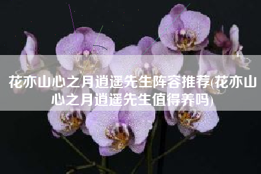 花亦山心之月逍遥先生阵容推荐(花亦山心之月逍遥先生值得养吗)