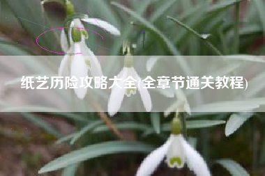 纸艺历险攻略大全(全章节通关教程)