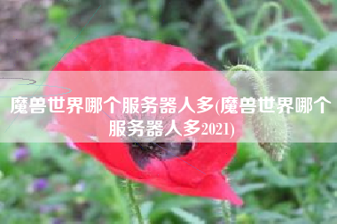 魔兽世界哪个服务器人多(魔兽世界哪个服务器人多2021)