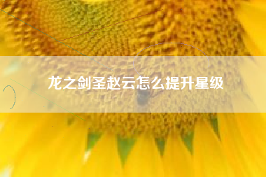 龙之剑圣赵云怎么提升星级