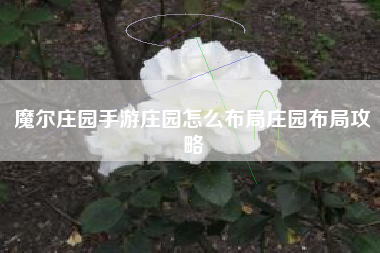 魔尔庄园手游庄园怎么布局庄园布局攻略