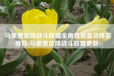 马里奥足球战斗联盟全角色装备及阵容推荐(马里奥足球战斗联盟更新)