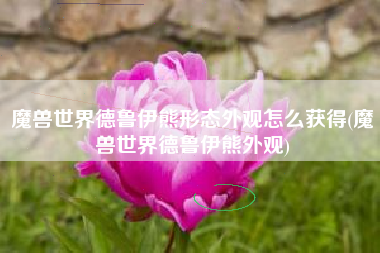 魔兽世界德鲁伊熊形态外观怎么获得(魔兽世界德鲁伊熊外观)