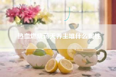 热血燃烧蒋天养主堆什么属性