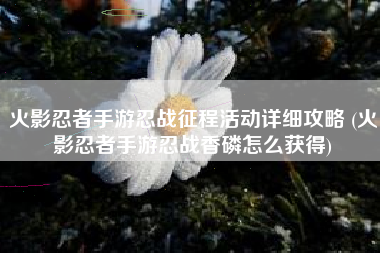 火影忍者手游忍战征程活动详细攻略 (火影忍者手游忍战香磷怎么获得)