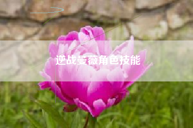 逆战曼薇角色技能