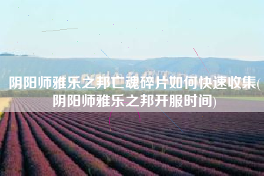 阴阳师雅乐之邦亡魂碎片如何快速收集(阴阳师雅乐之邦开服时间)