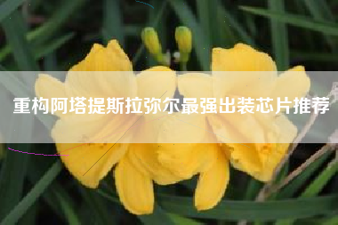 重构阿塔提斯拉弥尔最强出装芯片推荐