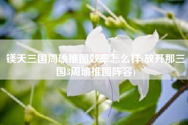 镁天三国周瑜推图效率怎么样(放开那三国3周瑜推图阵容)
