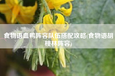 食物语血鸭阵容队伍搭配攻略(食物语胡桃林阵容)