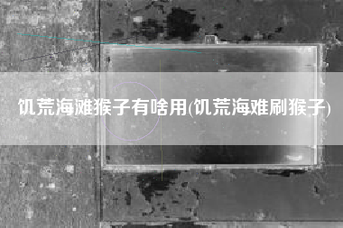 饥荒海滩猴子有啥用(饥荒海难刷猴子)