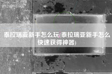 泰拉瑞亚新手怎么玩(泰拉瑞亚新手怎么快速获得神器)