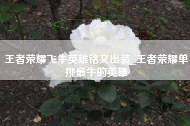 王者荣耀飞牛英雄铭文出装_王者荣耀单挑最牛的英雄