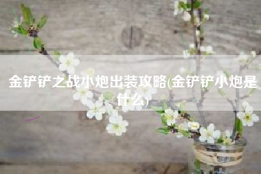 金铲铲之战小炮出装攻略(金铲铲小炮是什么)