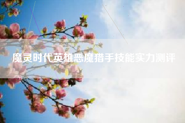 魔灵时代英雄恶魔猎手技能实力测评