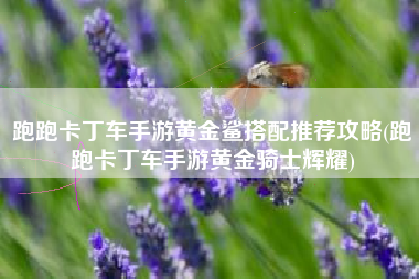跑跑卡丁车手游黄金鲨搭配推荐攻略(跑跑卡丁车手游黄金骑士辉耀)