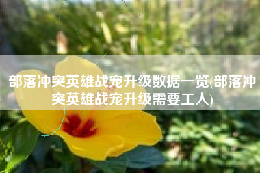 部落冲突英雄战宠升级数据一览(部落冲突英雄战宠升级需要工人)