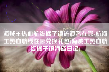 海贼王热血航线橘子镇流浪者在哪-航海王热血航线在哪兑换礼包(海贼王热血航线橘子镇海盗日记)