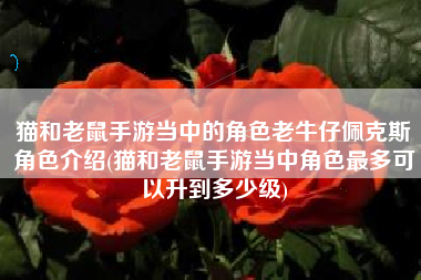 猫和老鼠手游当中的角色老牛仔佩克斯角色介绍(猫和老鼠手游当中角色最多可以升到多少级)
