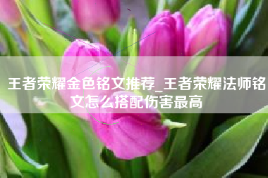 王者荣耀金色铭文推荐_王者荣耀法师铭文怎么搭配伤害最高