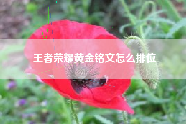 王者荣耀黄金铭文怎么排位