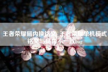 王者荣耀局内换铭文_王者荣耀单机模式铭文与局内不一致bug