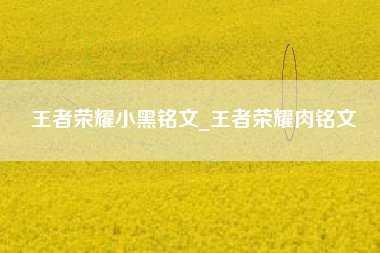 王者荣耀小黑铭文_王者荣耀肉铭文