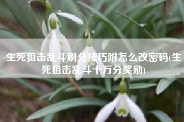 生死狙击乱斗刷分技巧附怎么改密码(生死狙击乱斗十万分奖励)