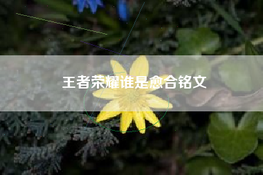 王者荣耀谁是愈合铭文