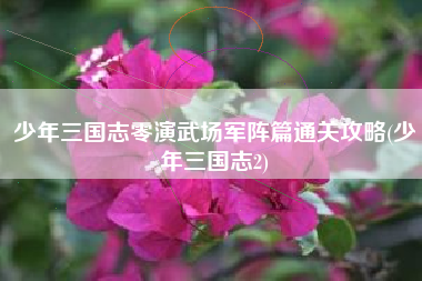 少年三国志零演武场军阵篇通关攻略(少年三国志2)