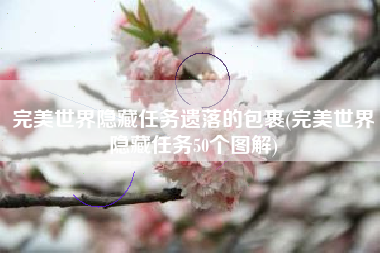 完美世界隐藏任务遗落的包裹(完美世界隐藏任务50个图解)