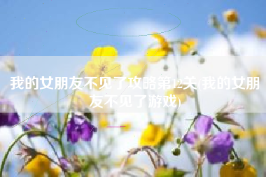 我的女朋友不见了攻略第12关(我的女朋友不见了游戏) 我的女朋友不见了攻略第12关(我的女朋友不见了游戏)