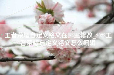 王者荣耀自定义铭文在哪里修改_2022王者荣耀自定义铭文怎么编辑