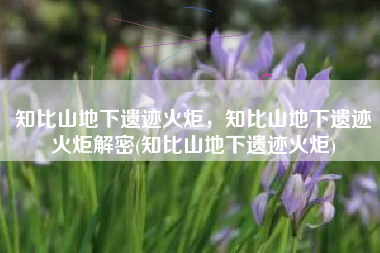 知比山地下遗迹火炬，知比山地下遗迹火炬解密(知比山地下遗迹火炬)
