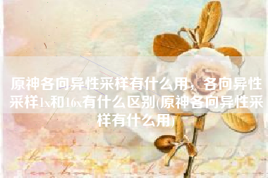原神各向异性采样有什么用，各向异性采样1x和16x有什么区别(原神各向异性采样有什么用)